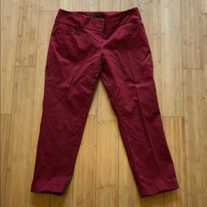 Limited pants - red